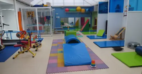 REHABILITACION INTEGRAL INFANTIL ESPECIALIZADA RIIE BOGOTÁ